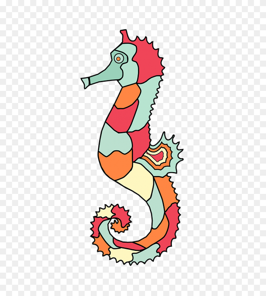 Seahorse Clip Art - Seahorse Png Tr