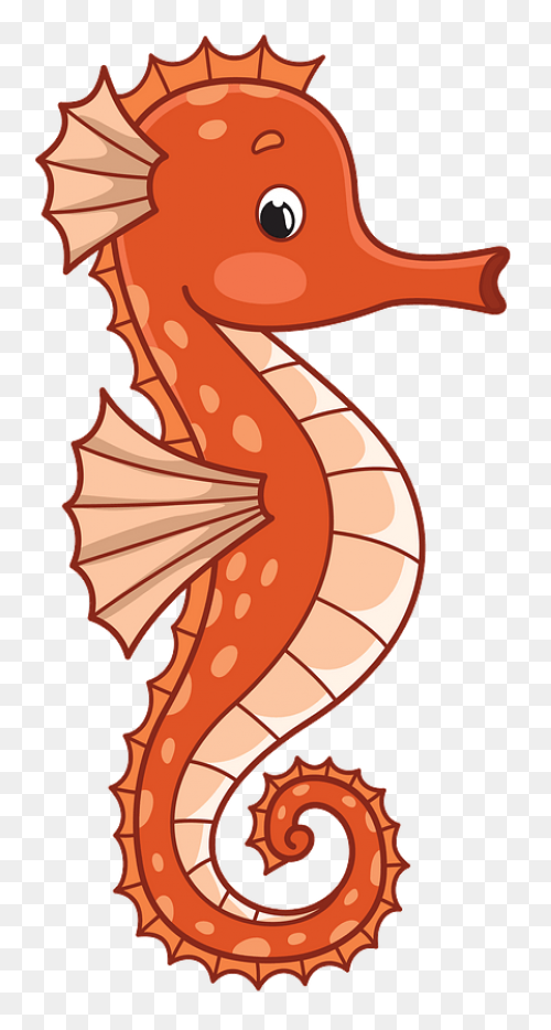 Seahorse Clip Art - Seahorse Png Tr