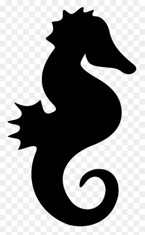 Seahorse Clip Art - Seahorse Png Tr