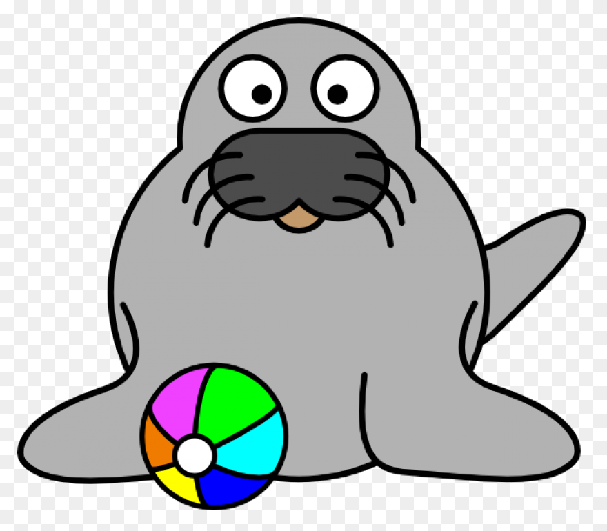 Elephant Seals Black And White - Seal