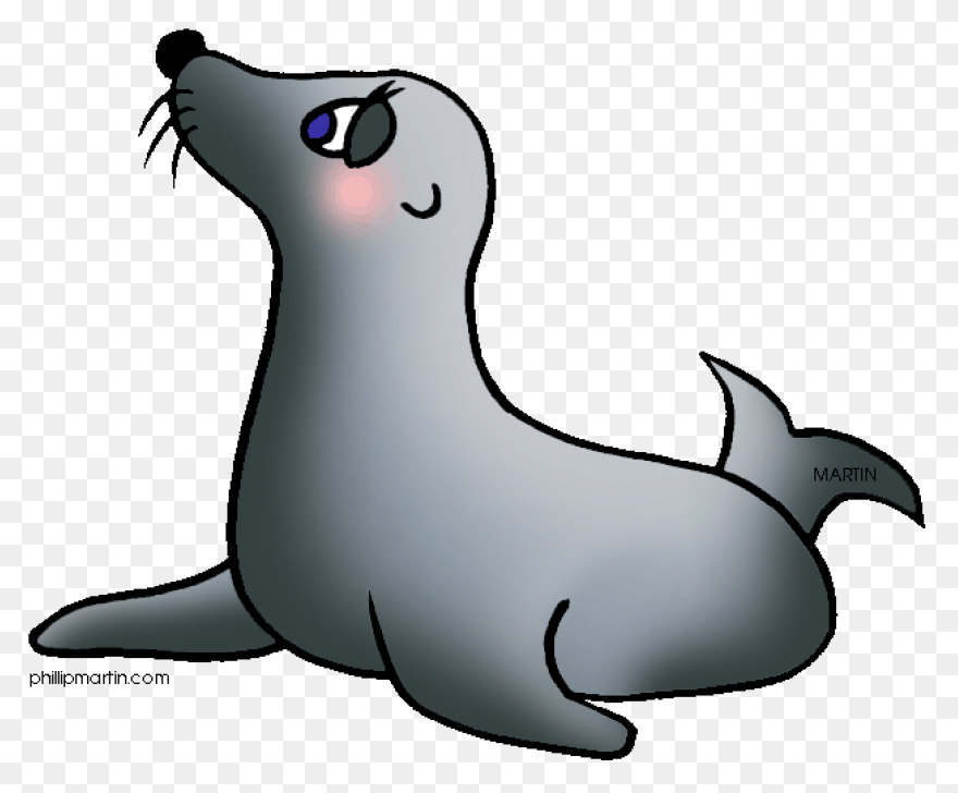 Elephant Seals Black And White Wild