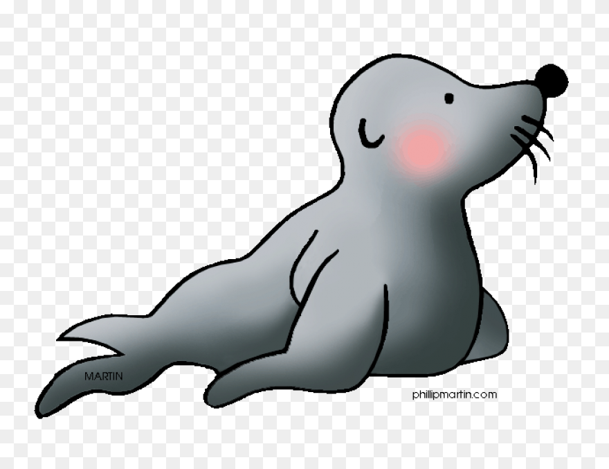 Elephant Seals Black And White Wild
