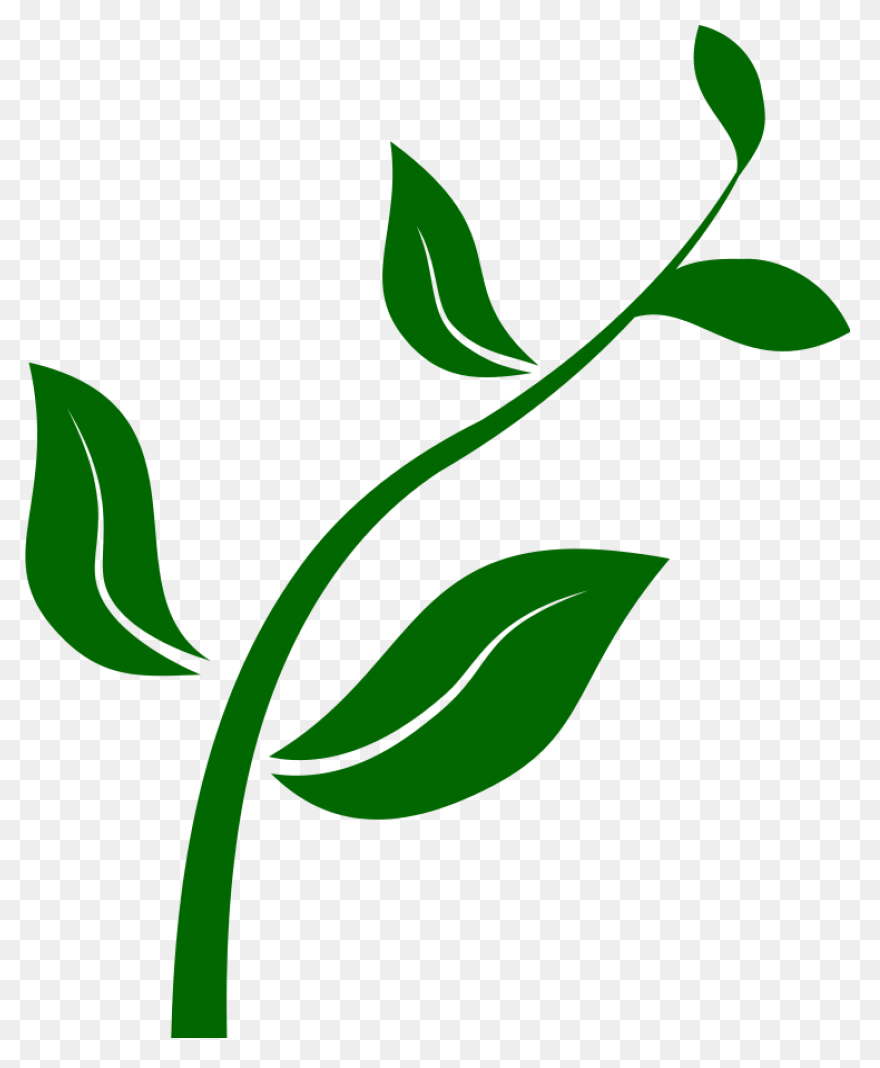 Seed Clipart Science Plant - Plant 