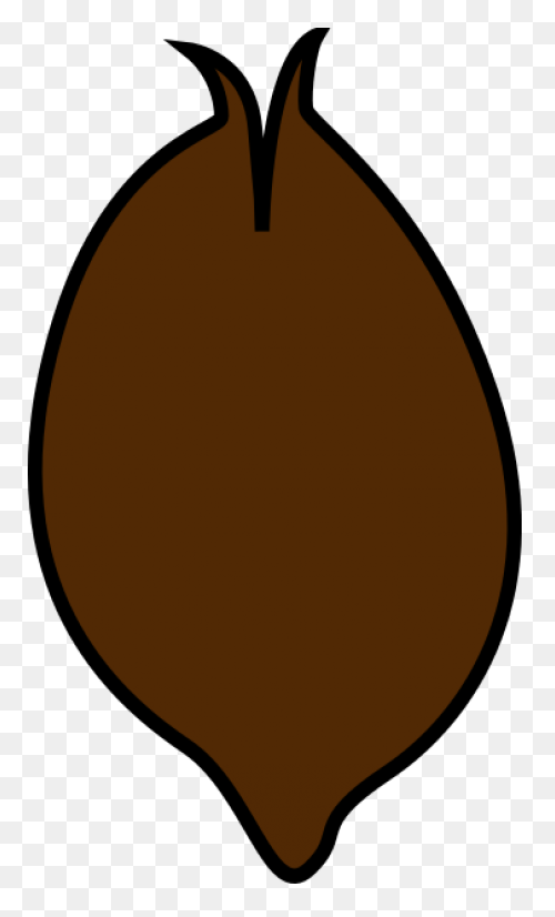 Seed Clipart Science Plant - Plant 