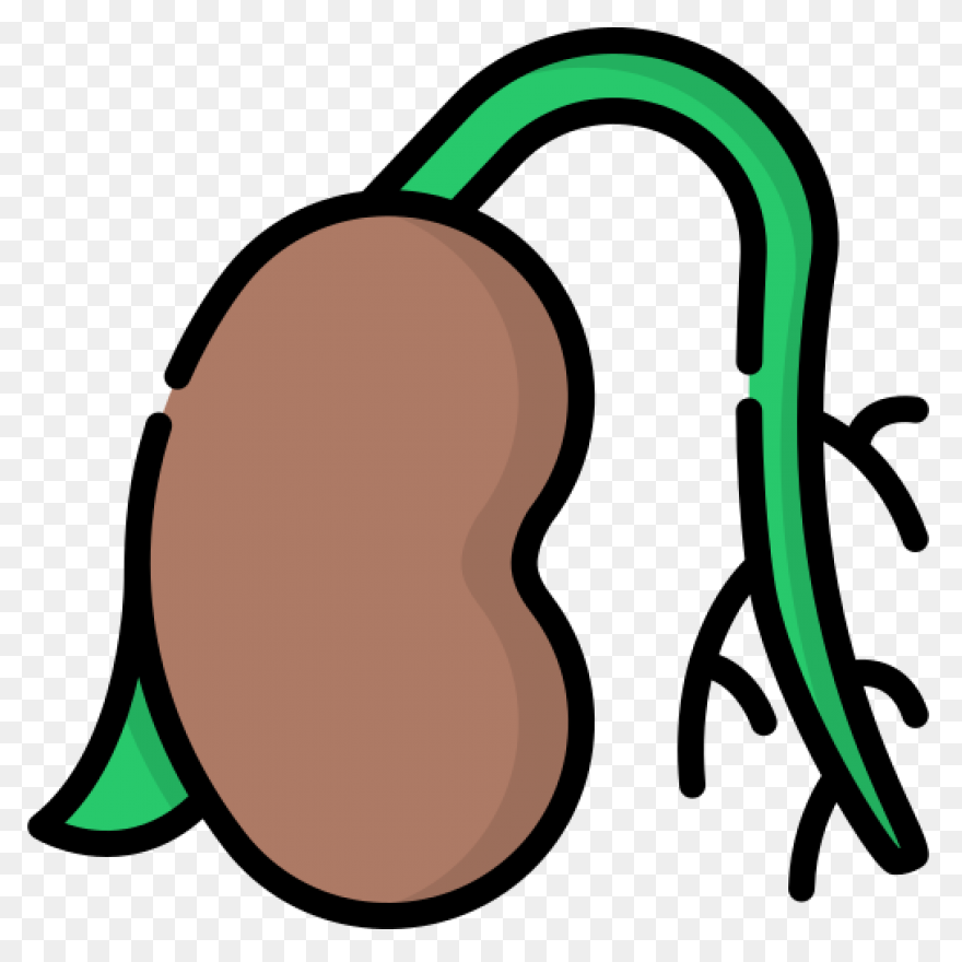 Seed Clipart Science Plant - Plant 