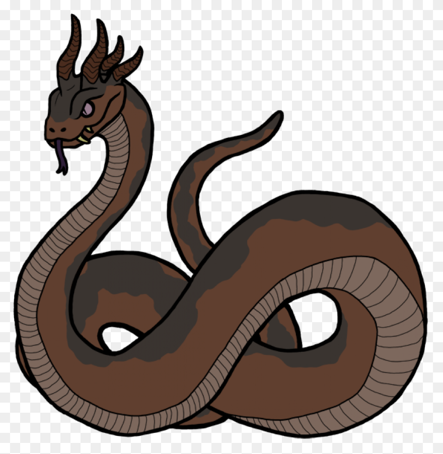 More Than Twelve Feet Long, The Sna