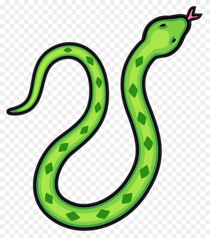 More Than Twelve Feet Long, The Sna
