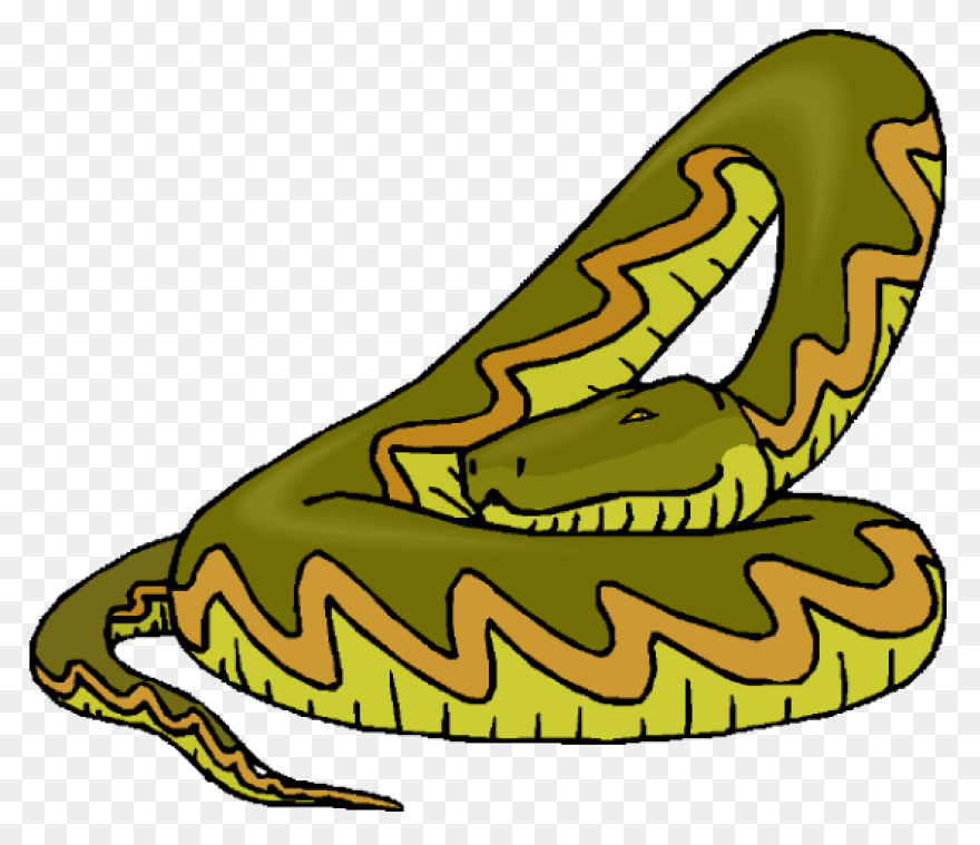 More Than Twelve Feet Long, The Sna
