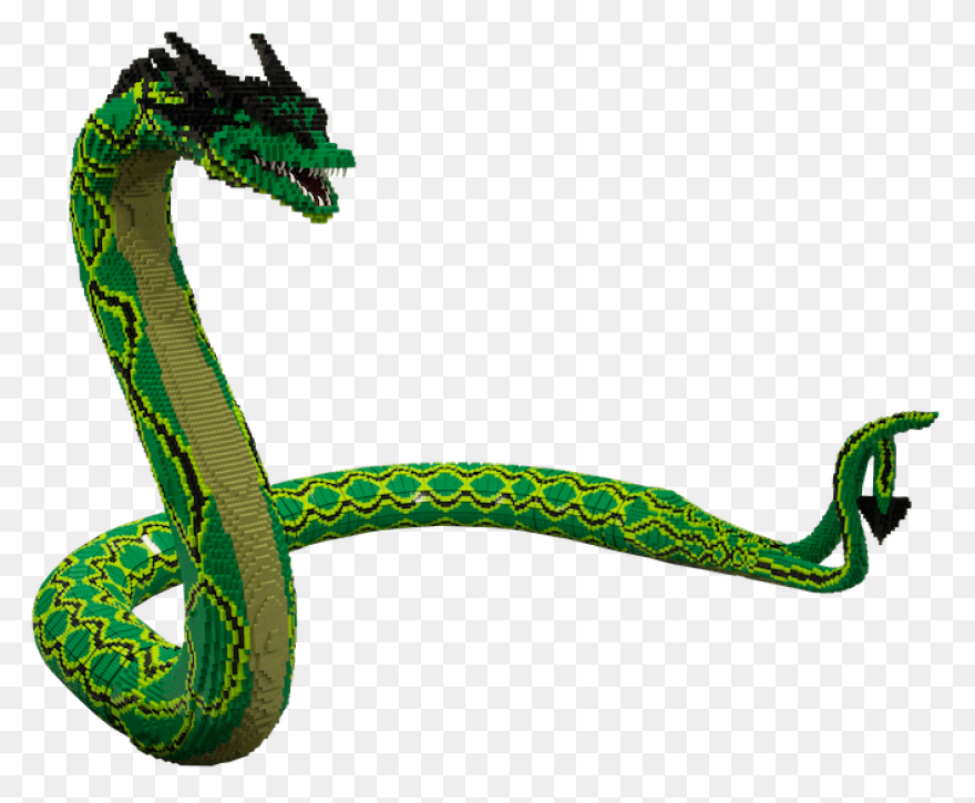 More Than Twelve Feet Long, The Sna