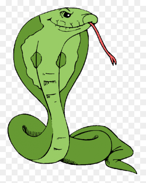 More Than Twelve Feet Long, The Sna