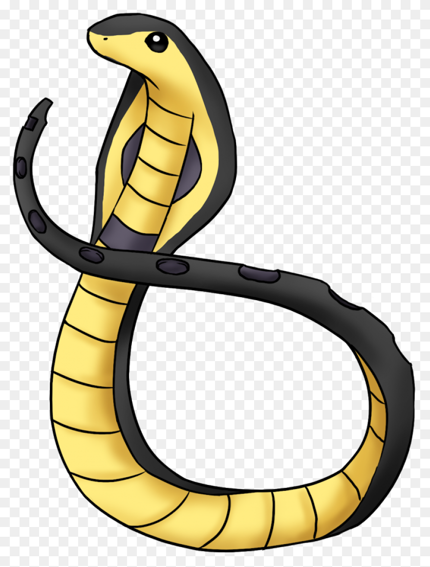 More Than Twelve Feet Long - Serpent
