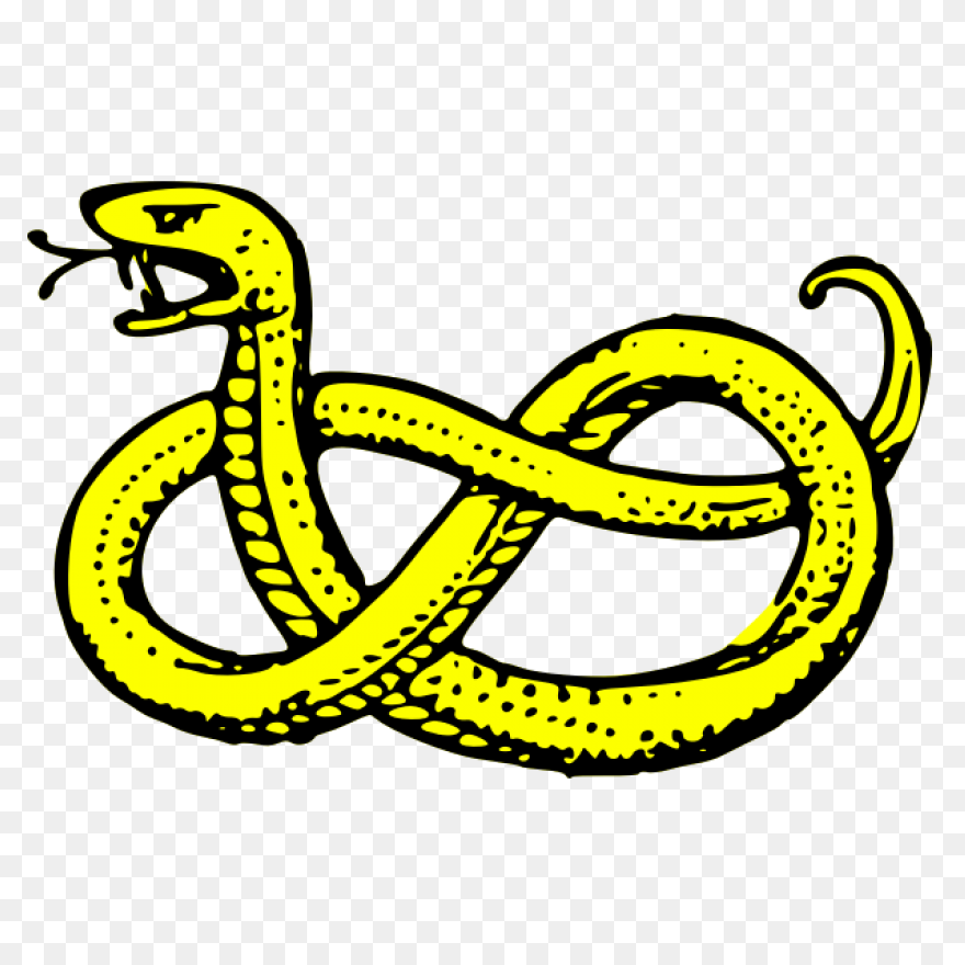 More Than Twelve Feet Long, The Sna