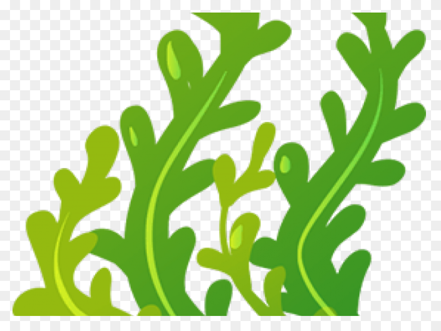 Bubble Clipart Seaweed Clipart Sea - Seaweed