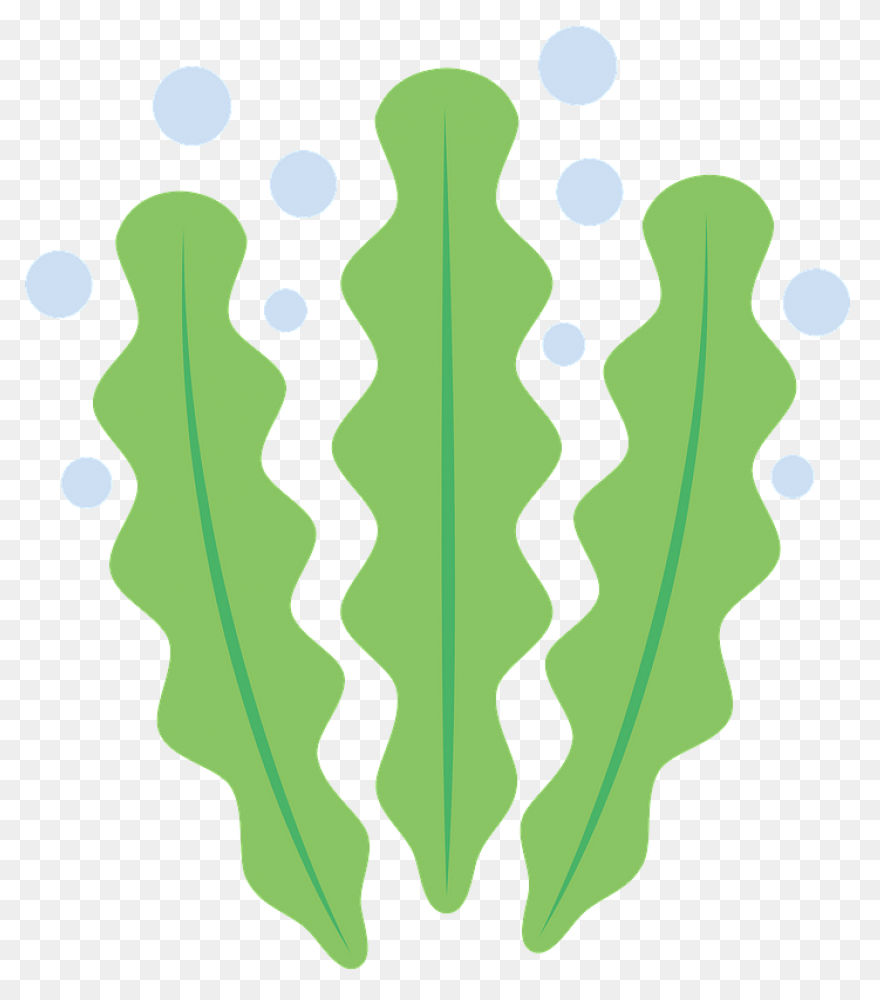 Seaweed Clipart Graphics Png Download - Seaweed