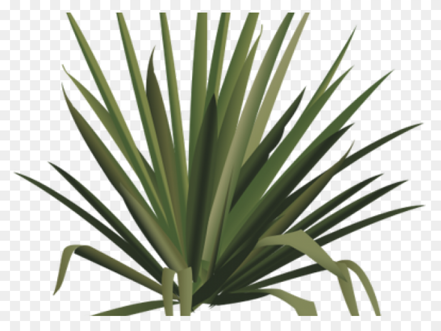 Shrub Clipart Desert Png Download - Shrub