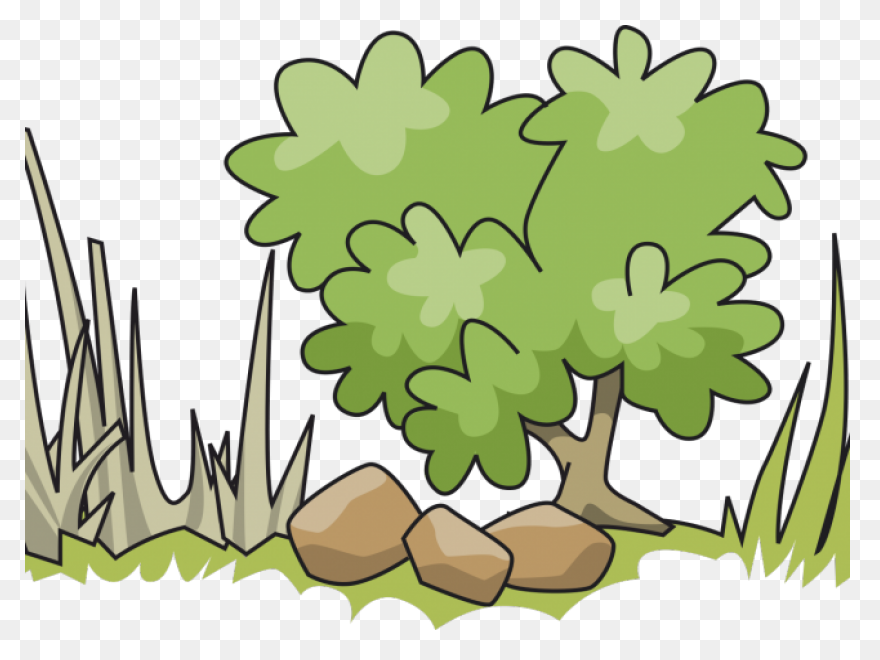 Shrub Clipart Desert - Png Download