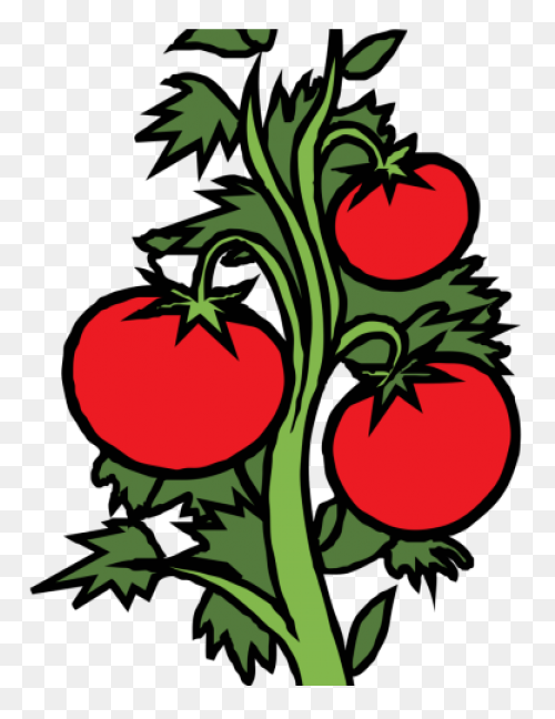 Shrub Clipart Desert - Png Download
