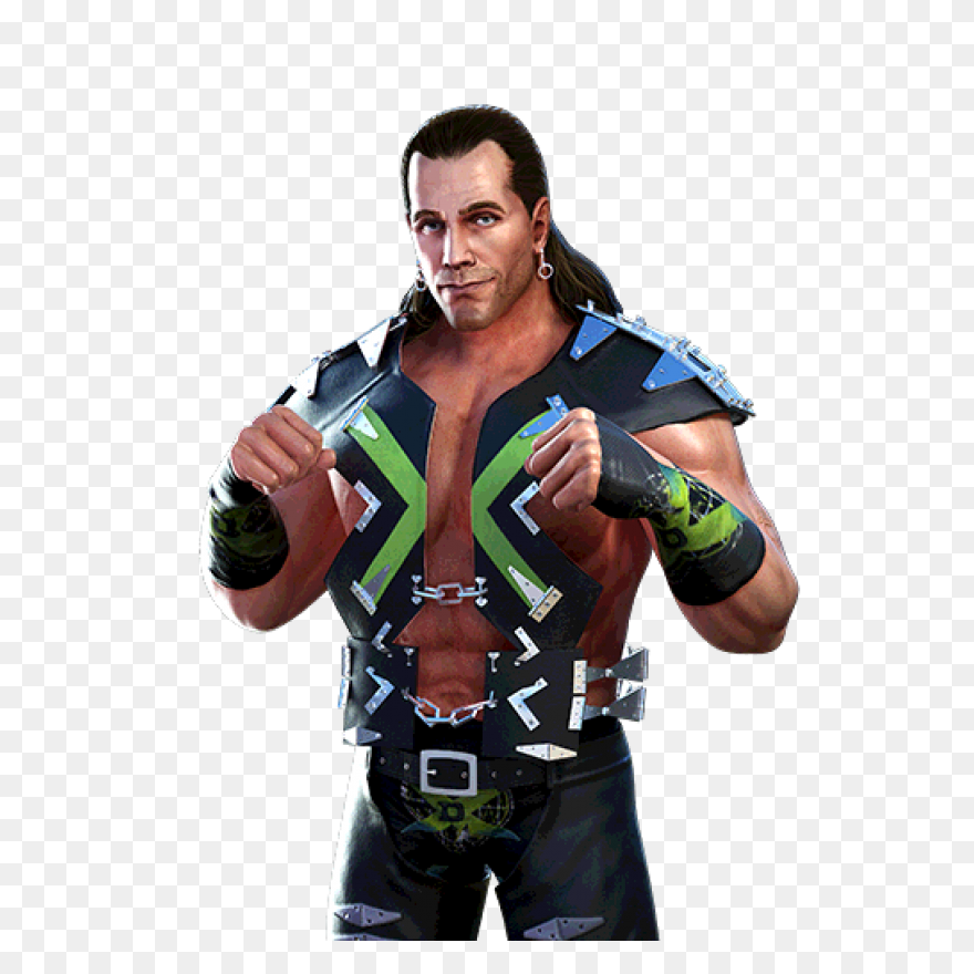 Leveling Calculator For Shawn Michaels - Shawn Michaels