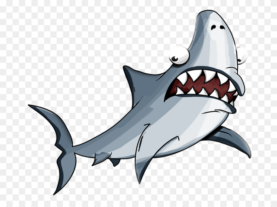 Vector Sharks Shark Attack - Shark 