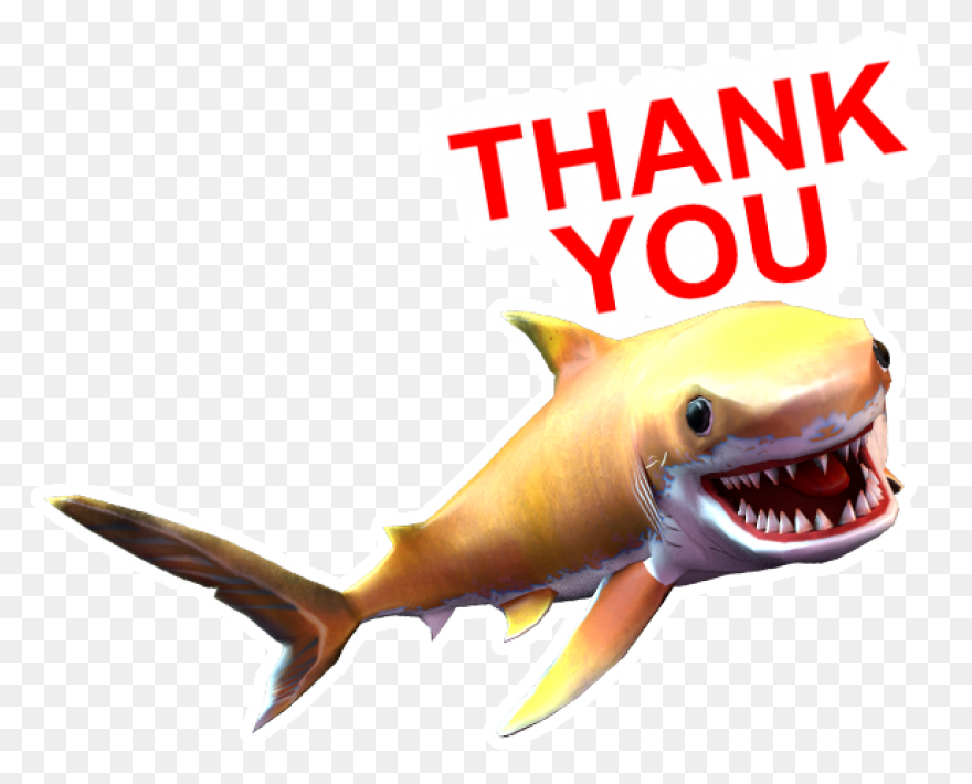 Vector Sharks Shark Attack - Shark 