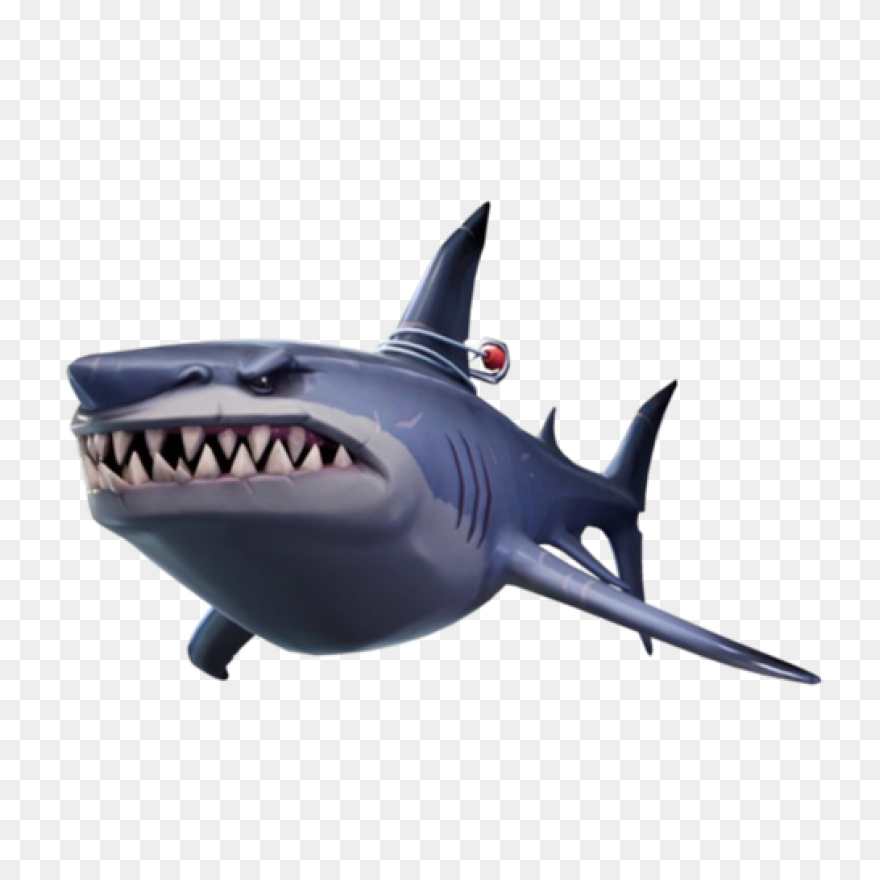Vector Sharks Shark Attack - Shark 
