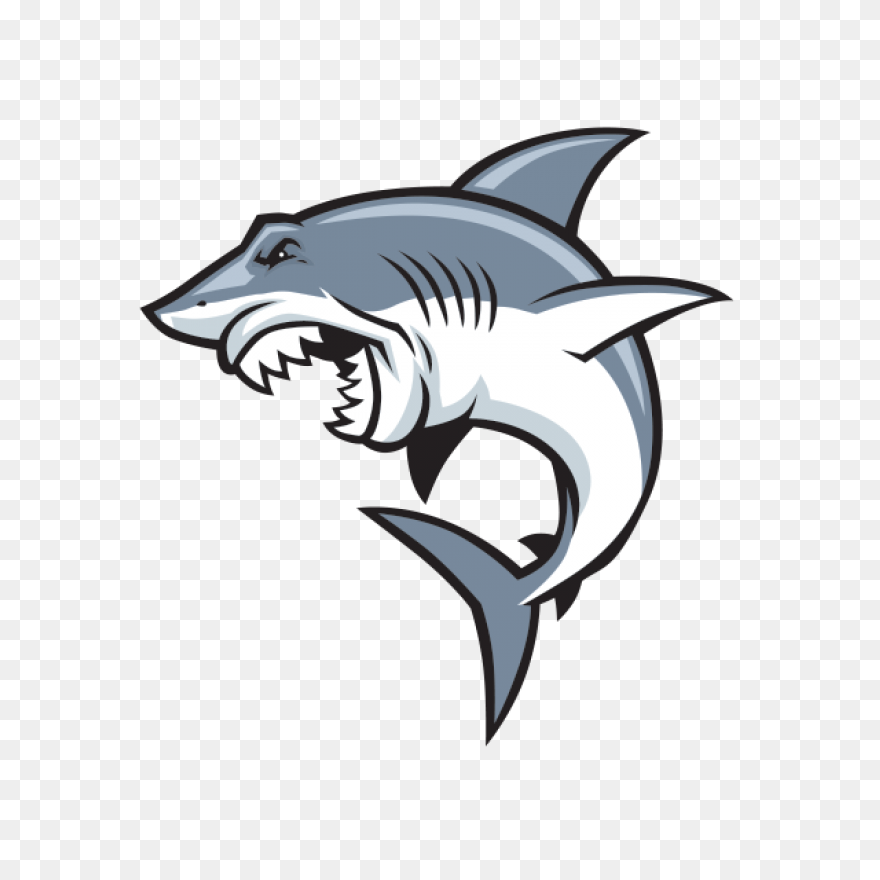 Vector Sharks Shark Attack - Shark 