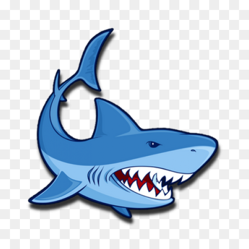 Vector Sharks Shark Attack - Shark 