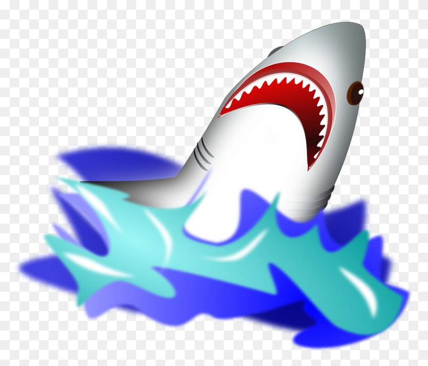 Vector Sharks Shark Attack - Shark 
