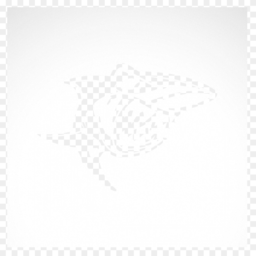 Vector Sharks Shark Attack - Shark 
