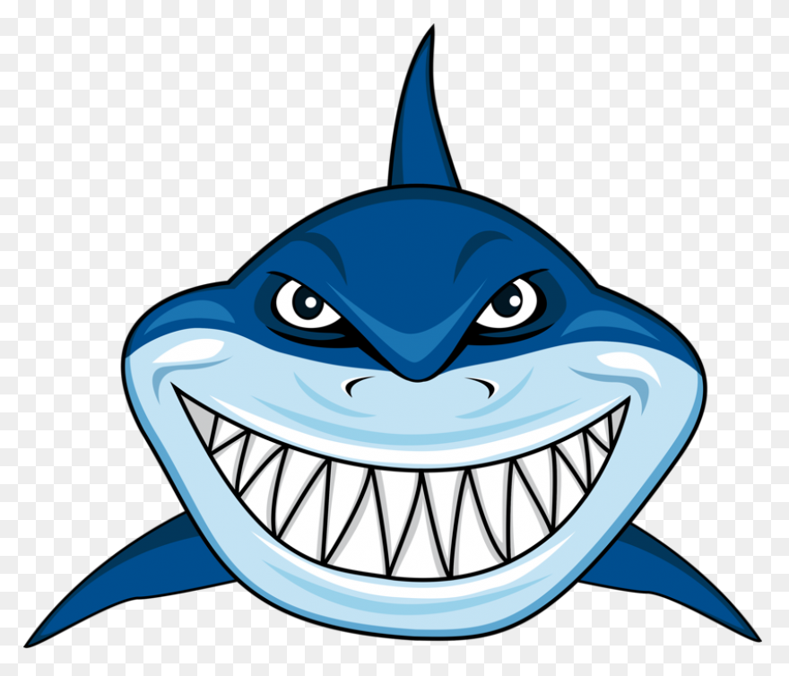 Vector Sharks Shark Attack Shark - Shark Attack