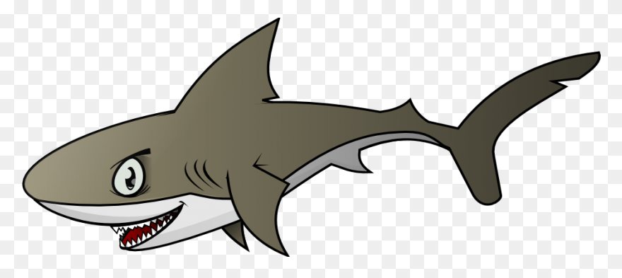 The Ultimate Book Of Sharks | Alway