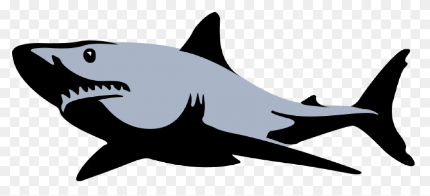 The Ultimate Book Of Sharks | Alway