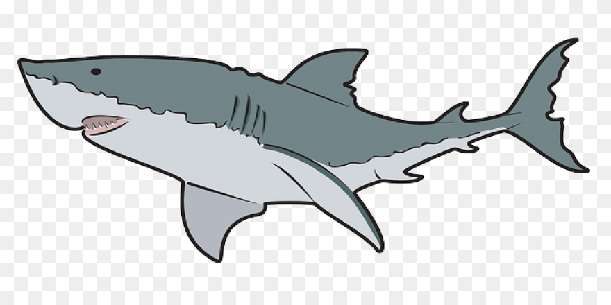 The Ultimate Book Of Sharks - Sharks