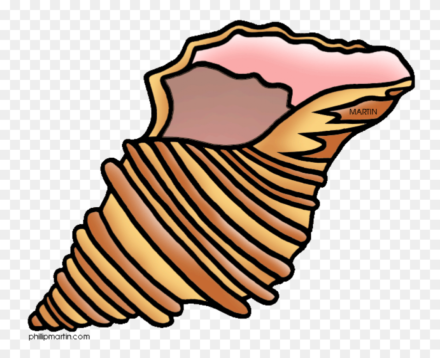 Black And White Sea Shell Clip Art 