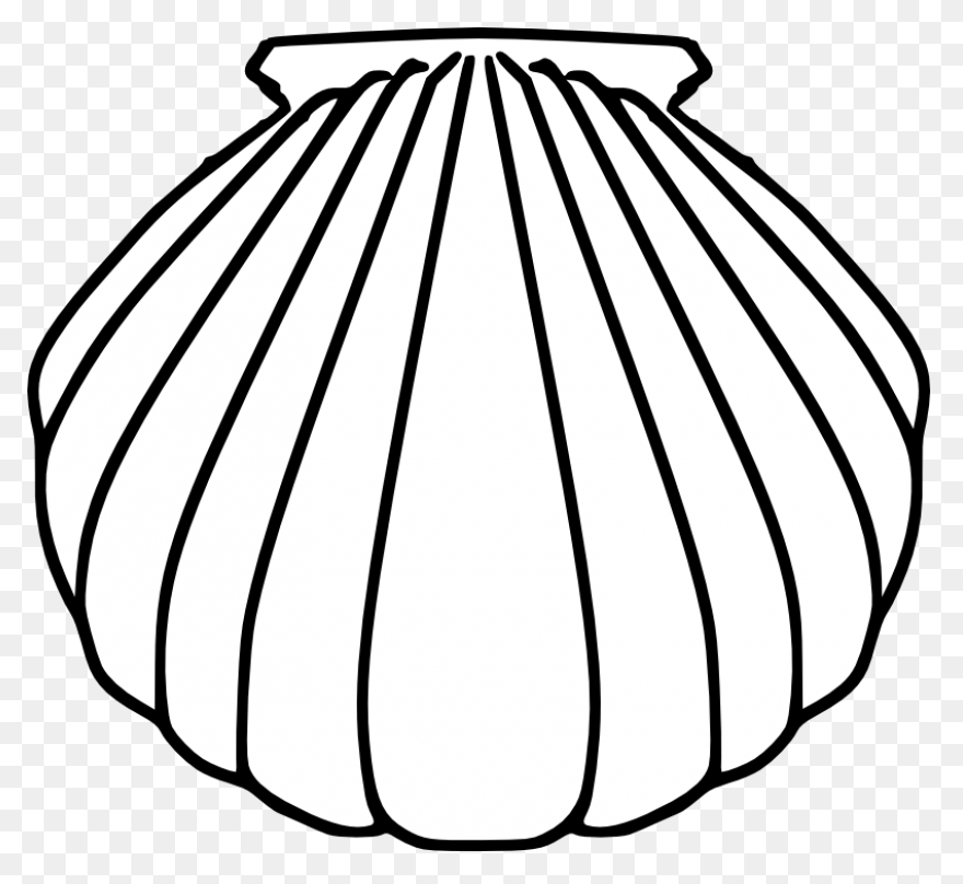 Black And White Sea Shell Clip Art 