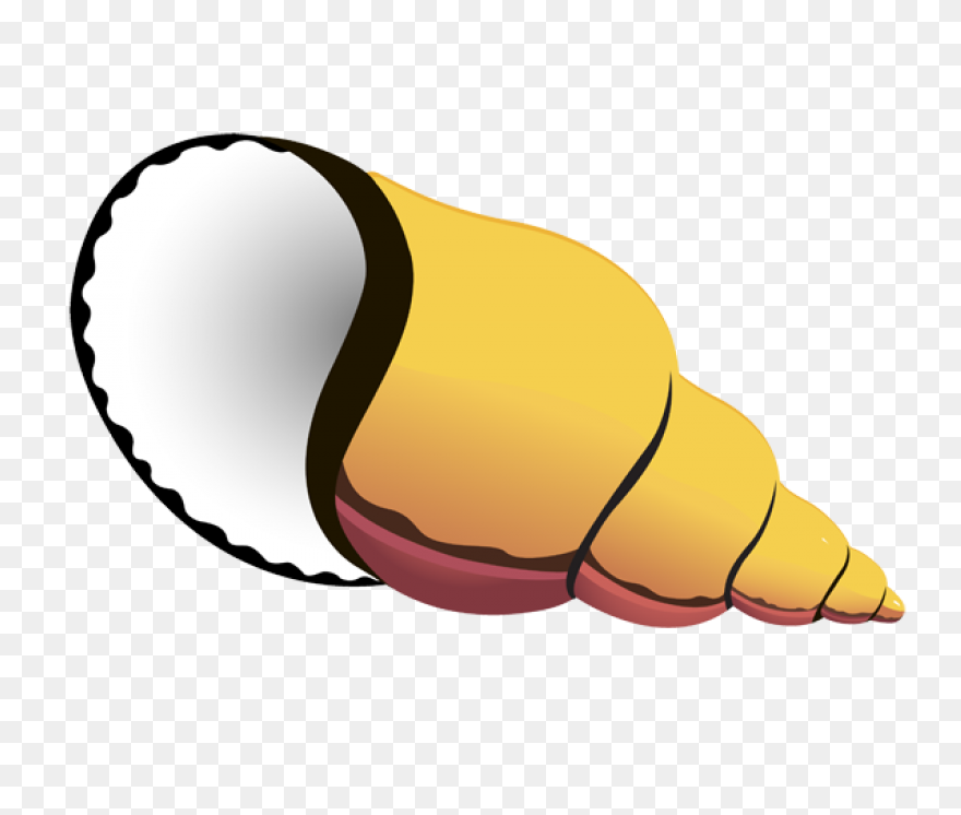 Black And White Sea Shell Clip Art 