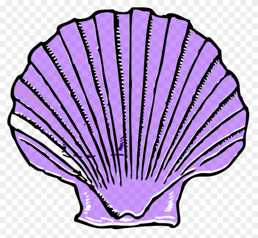 Black And White Sea Shell Clip Art 