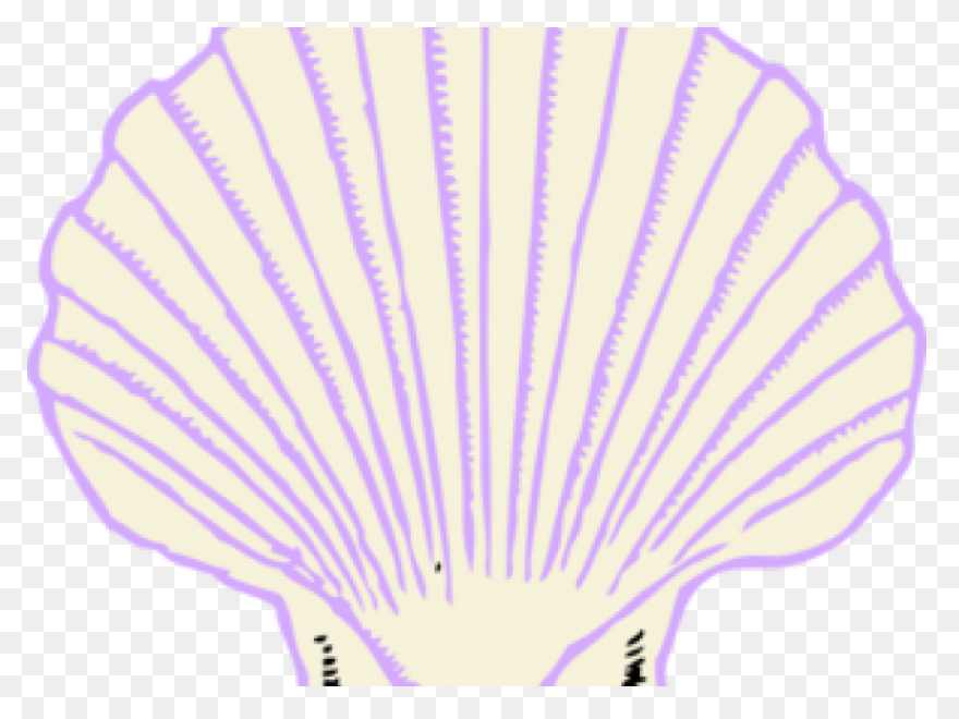 Black And White Sea Shell Clip Art 