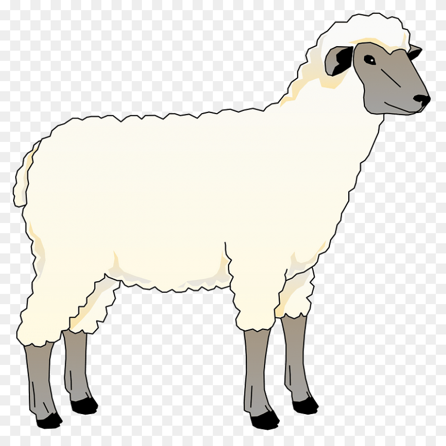 Sheep Clip Art Free Vector For Free