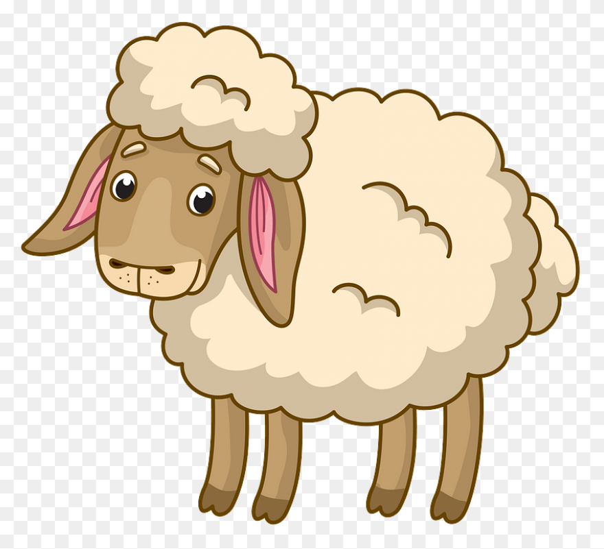 Sheep Clip Art Free Vector For Free