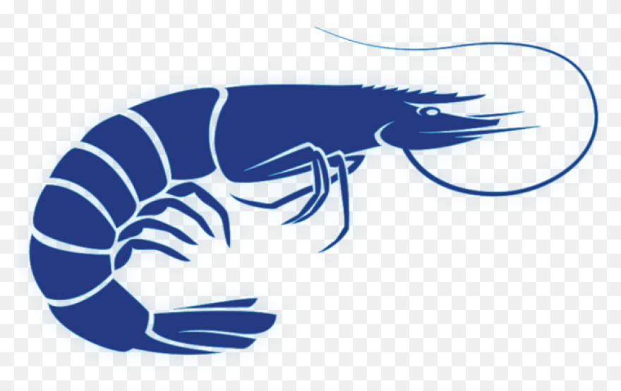 Tasty Shrimp Cursor – Custom Curs