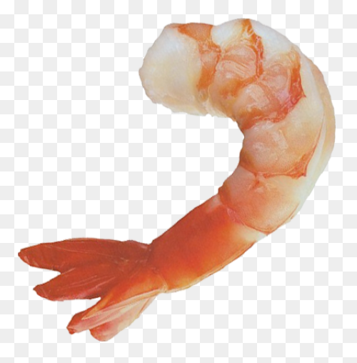 Tasty Shrimp Cursor – Custom Curs