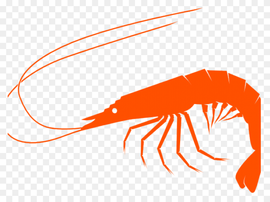 Tasty Shrimp Cursor – Custom Curs