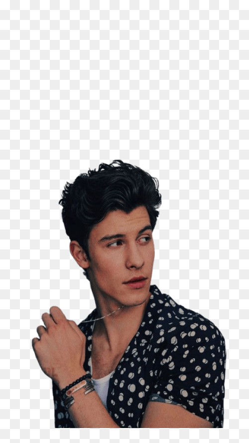 Shawn Mendes - Official Website | S