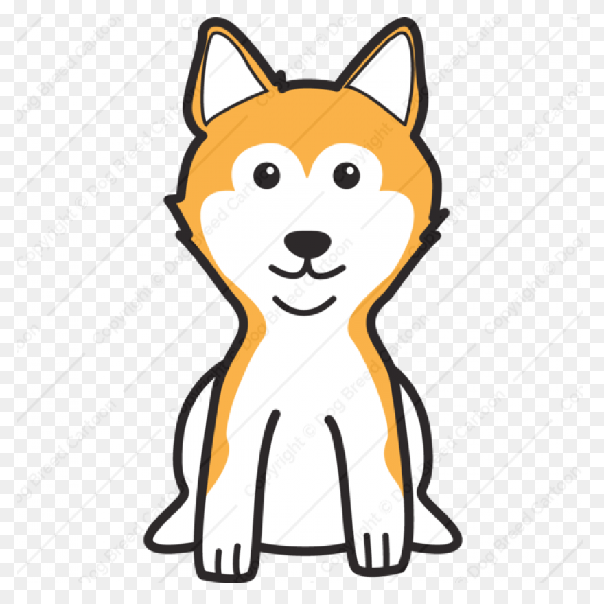 Shiba Inu Special Edition | - Shiba Inu