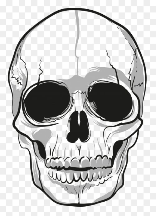 Free Skeleton Head Cliparts, Downlo