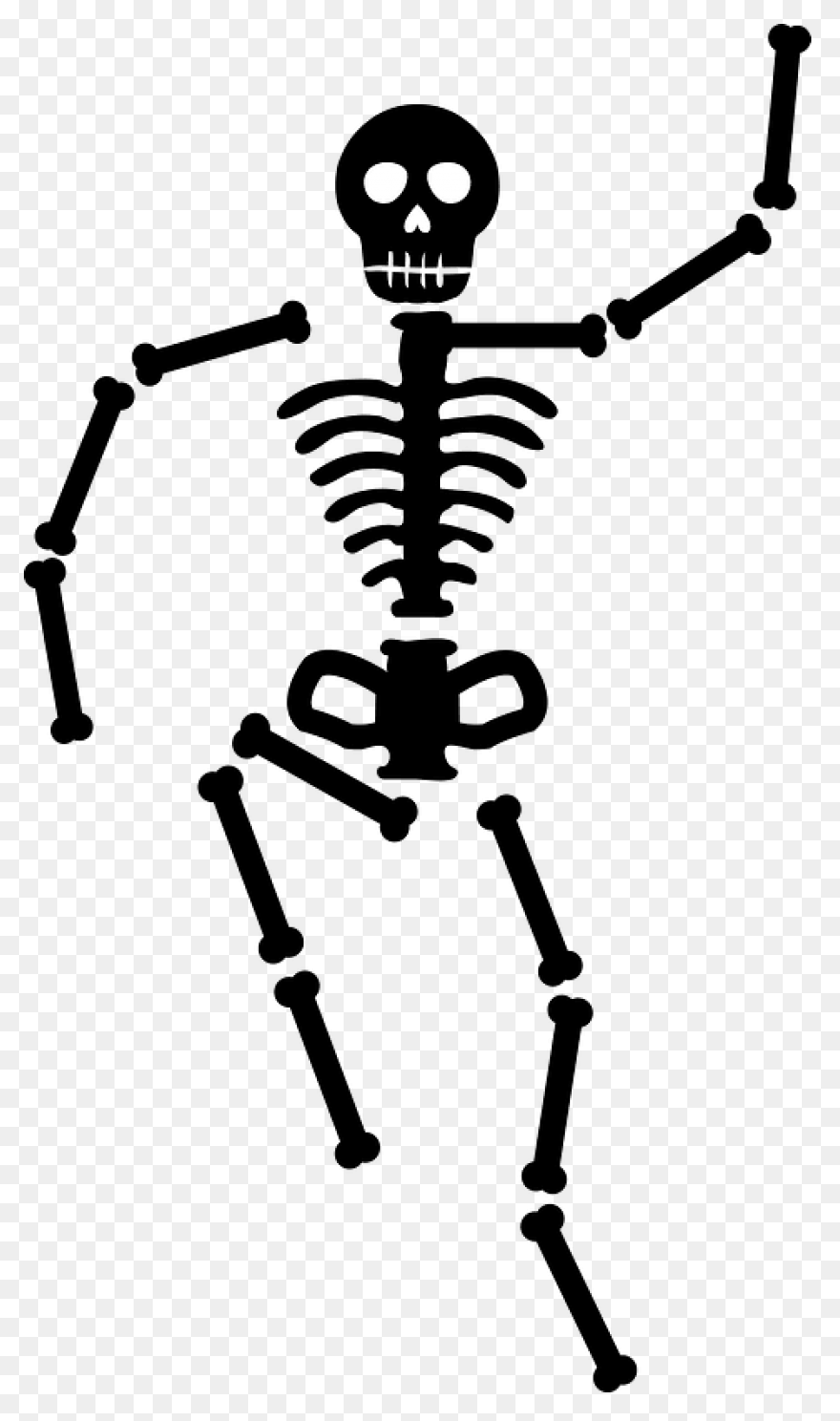 Download Hd Skeleton Clipart Skelto