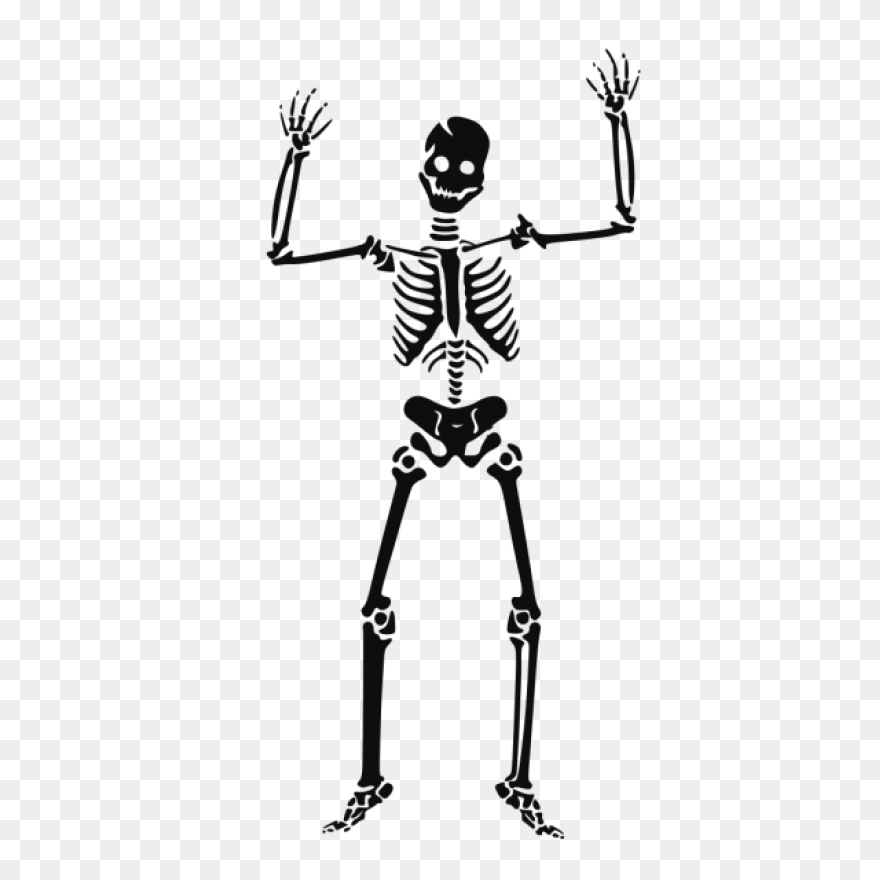 Download Hd Skeleton Clipart Skelto
