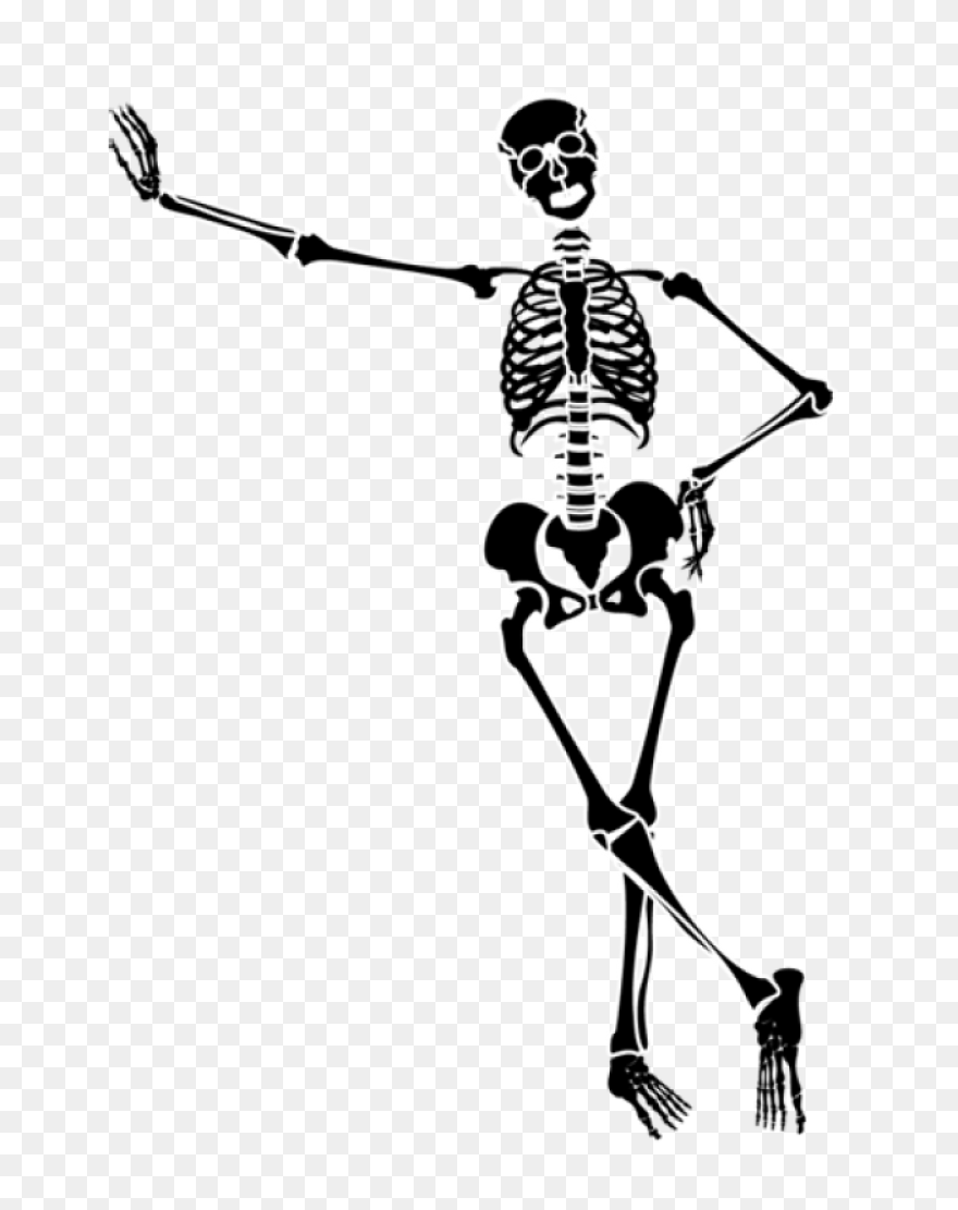 Download Hd Skeleton Clipart Skelto