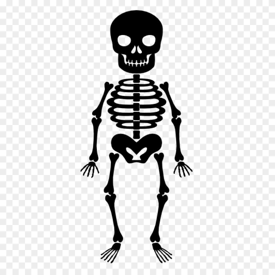 Download Hd Skeleton Clipart Skelto